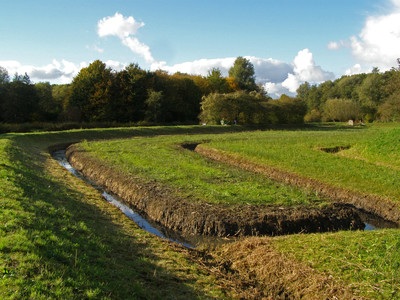 november 2 in de natuurtuin foto Tilly Kester