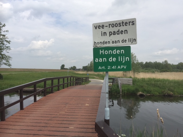 schaap4