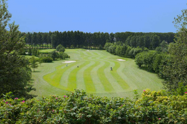 20170614.golfbanen new zoetermeer