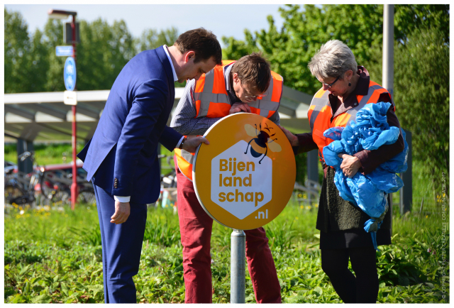 Bijenrotonde Zwaardslootseweg 015