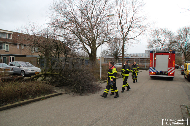 stormschade5woon
