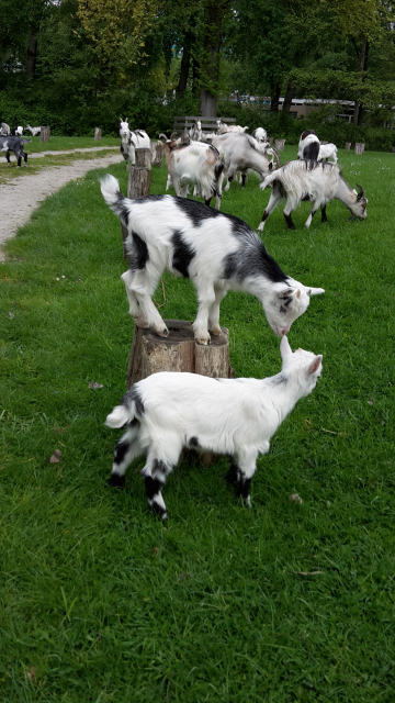 20170510 114200 copy