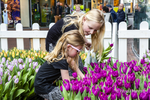 Tulpen plukken op Lente event 2018 Stadshart Zoetermeer Foto Patricia Munster 020