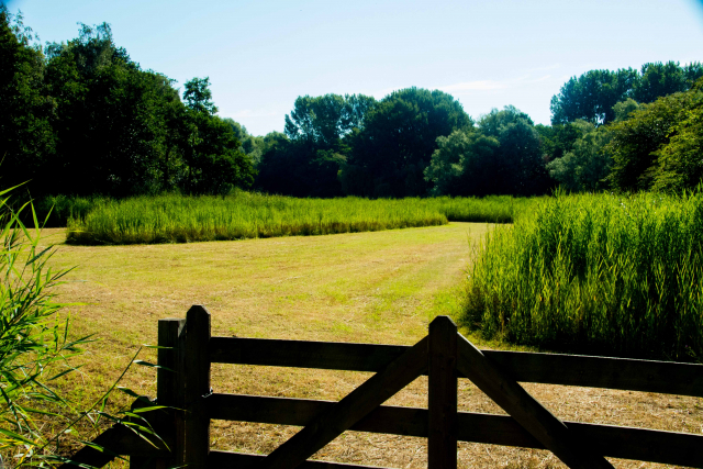 NET GEMAAIDE POLDER FOTO VNTZ