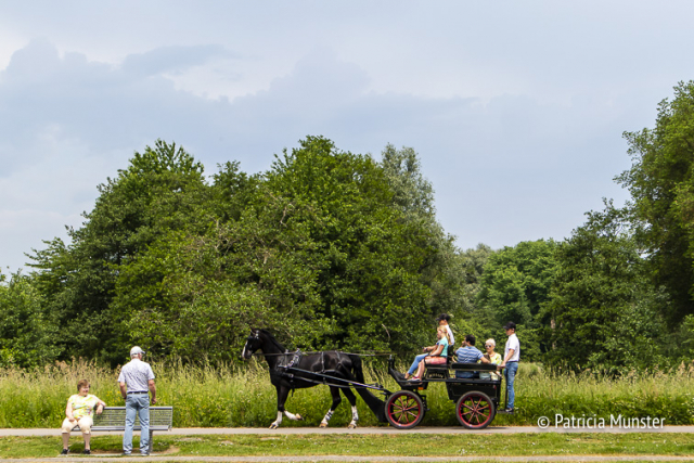 Westerparkdag 2018 Zoetermeer Foto Patricia Munster 006