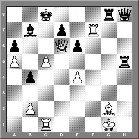 195.2 nijboer judit polgar