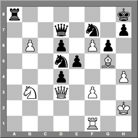 196.2 kortsjnoj nijboer