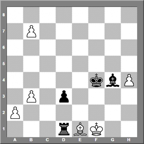 182.1seirawanwiel