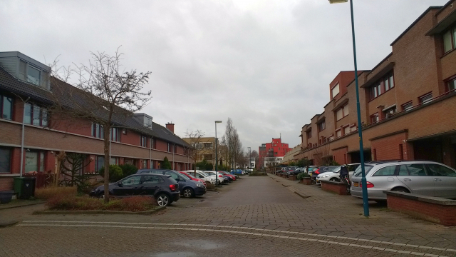 Okanhout begin straat