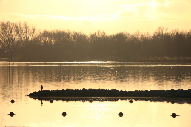 jan 19 p.nicolaas zoetermeerse plas