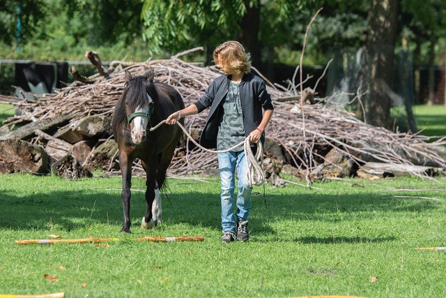 Jongen met paard