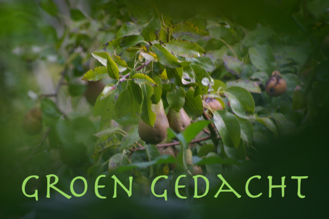 Logo Groen gedacht