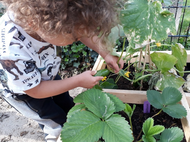 Smakelijk smikkelen uit eigen tuin afbeelding