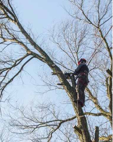 Winteronderhoud