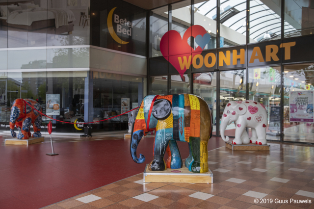 opening elephant parade woonhart 2019 zoetermeer 031