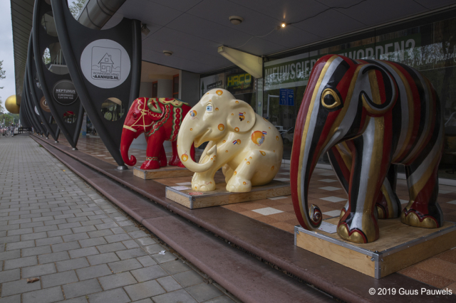opening elephant parade woonhart 2019 zoetermeer 042