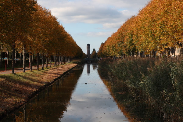 herfst2_miro_watertoren