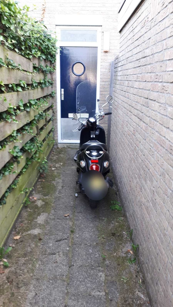 scooterdief2