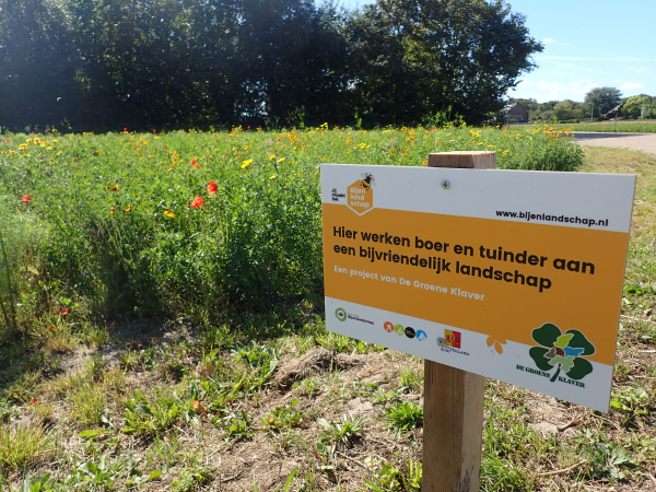 Agrarisch natuurbeheer voor bijen