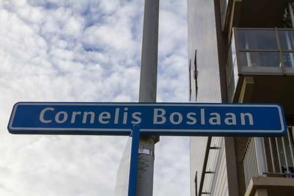 cornelis boslaan 001