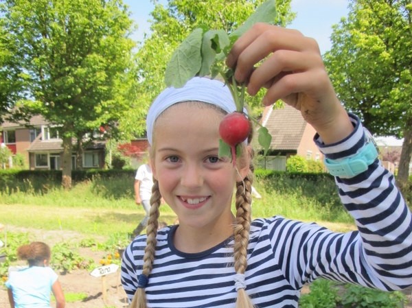 groen seghwaert moestuin in blik