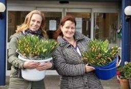 bloemen6hoofdf