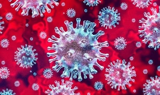 corona virus