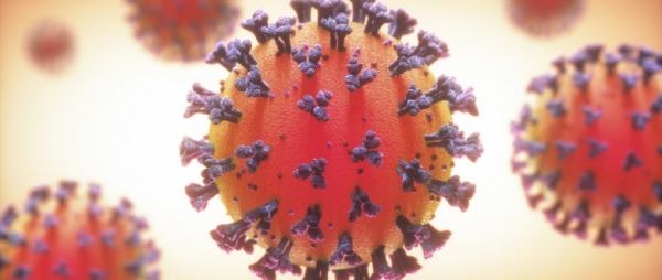 coronavirus2