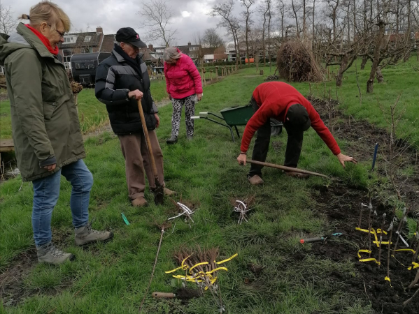 geuzegroen boompjes 1