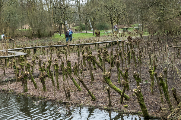 20200215 Natuurtuin 023