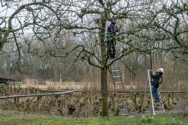 20200215 Natuurtuin 053