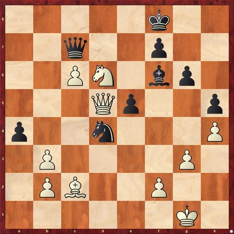 Nikolic Predrag Van der Sterren Paul 36Kf8