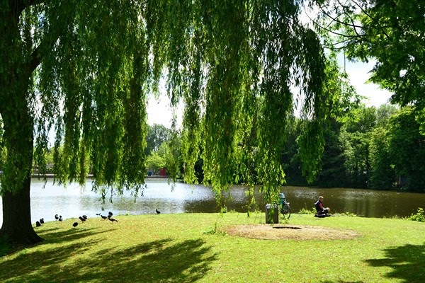 Zomer in Zoetermeer