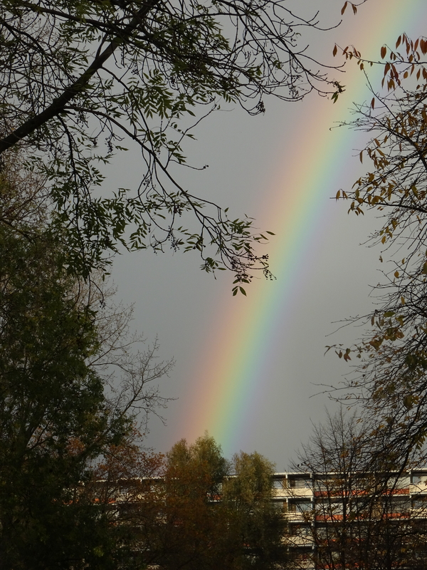 Cok_van_Aalst_regenboog_meerzicht