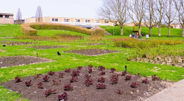 Rosarium Rokkeveen opgeknapt 1