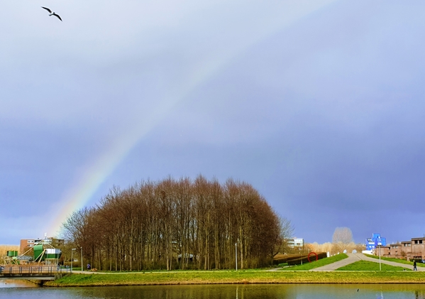 apr21 j stahlecker rokkeveen