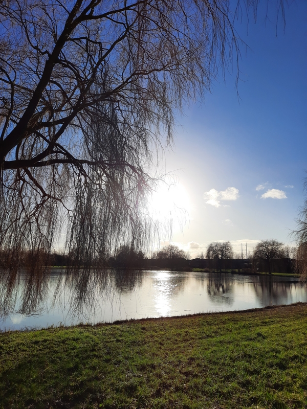 wapr21 wilma blijleven hoekstrapark