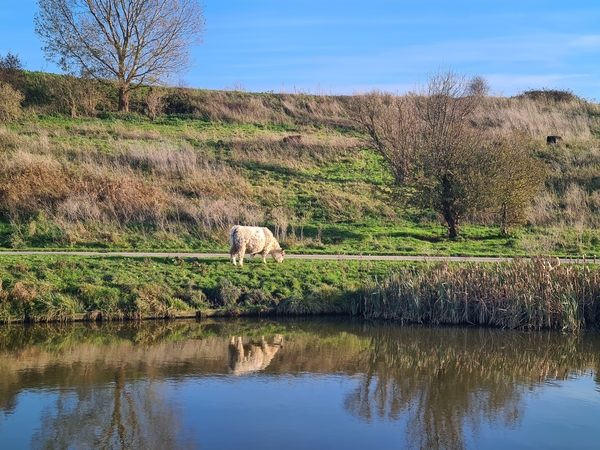 wfeb21_Hetty_van_der_Lans_herfst_buytenpark