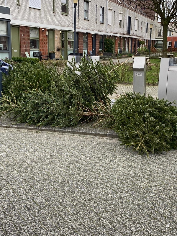 kerstboom inzameling