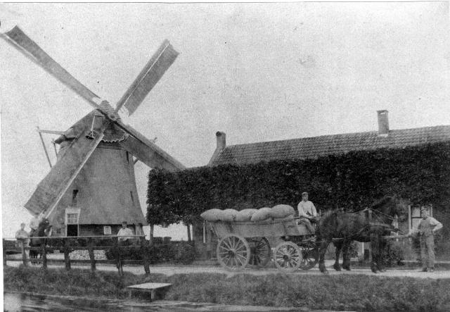 Eerste korenmolen De Hoop