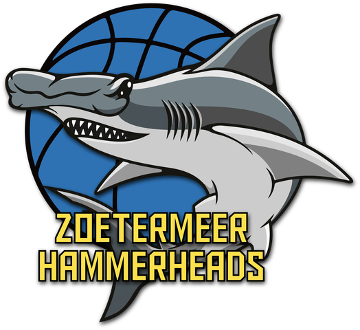 Hammerheads logo