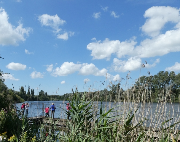 Plas van Poot Zoetermeer