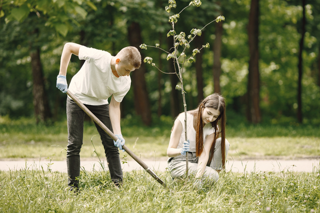 group of young volunteers in park they are planting a tree seedling 1 3