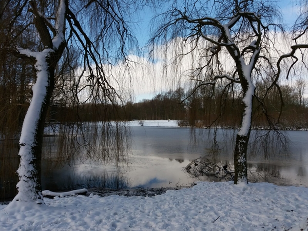 gerard_van_laar_Westerpark