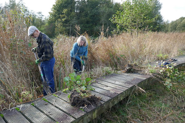 Natuurtuin 2