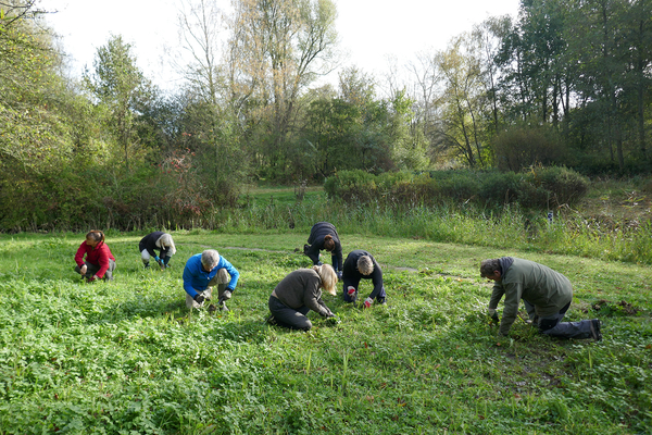 Natuurtuin 3