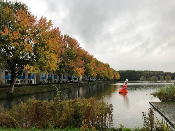 nov22 Cok van Aalst rokkeveen