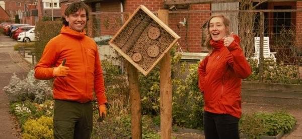 Buurtbijenlint