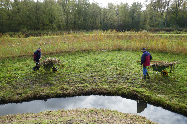 Natuurtuin Maaien en afvoeren