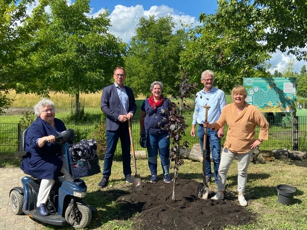 beuk wordt geplant